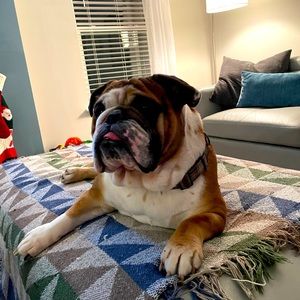 Meet your Posher, John